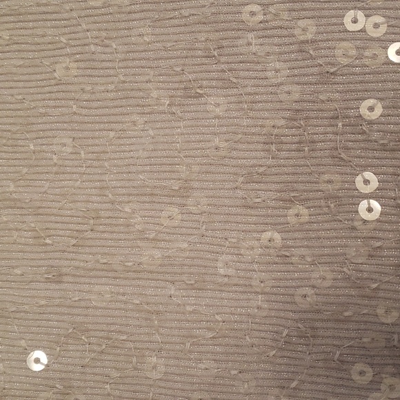 Express M Silver Sequin Sleeveless Tank Top Shimmer - Picture 6 of 6